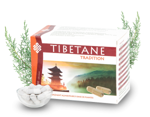 Tibétane Tradition