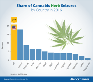 Résine de Cannabis vs Herbe, quel pays consomme quoi ?