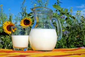Pourquoi les produits laitiers sont-ils inflammatoires ?