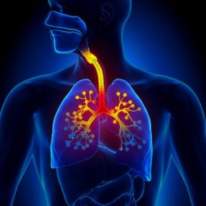 La Transformational Breath® : une méthode unique pour optimiser la respiration.
