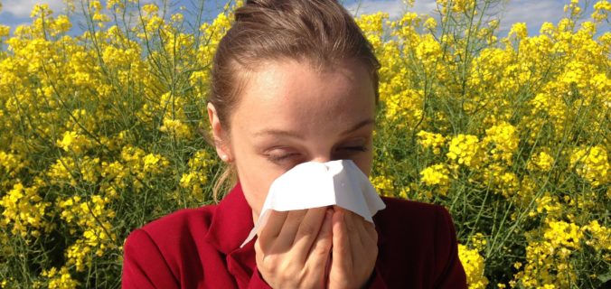 Pourquoi recommande-t-on la Quercétine quand on a des allergies