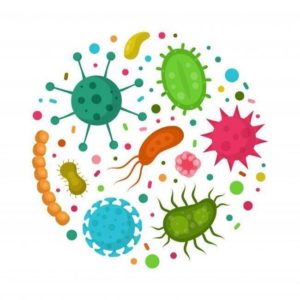 La Maison du Microbiote : un nouvel espace santé sur le microbiote