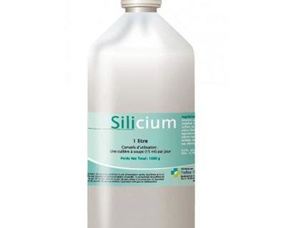 Silicium : un oligo-élément à ne pas négliger !
