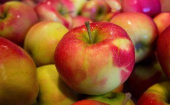 Pourquoi les pommes sont-elles bonnes pour vous