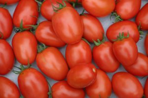 Comment conserver vos tomates cultivées à la maison?