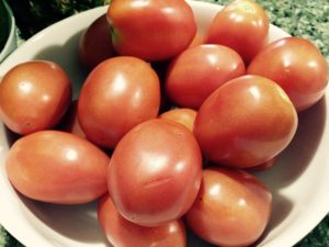 Comment conserver vos tomates cultivées à la maison?