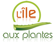 L'Ile aux plantes démocratise les bienfaits de l'Aloe arborescens