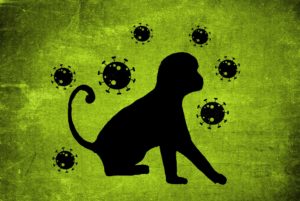 Variole du singe / Monkeypox : Symptômes, causes et traitement. 