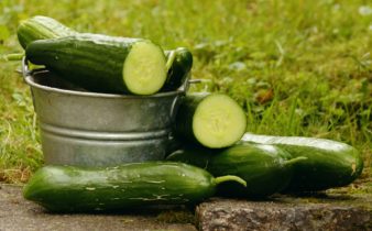 7 avantages pour la santé de manger du concombre.