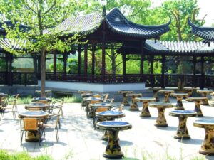 Jardin Japonais : Les Principes Essentiels pour une Harmonie de Vie