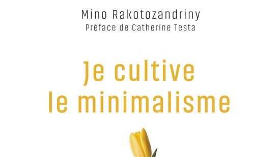 Je cultive le minimalisme - Mino Rakotozandriny