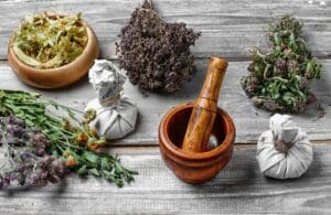 Conseils pour renforcer sa santé naturellement : Guide complet