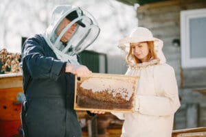 Apiculture durable : bienfaits du miel et rôle des abeilles.