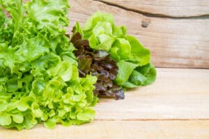 Laitue : les avantages pour notre santé