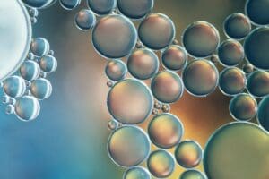 Aliments pour renforcer la flore intestinale naturellement