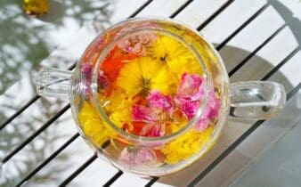 Infusions de fleurs et de fruits détox : bienfaits essentiels