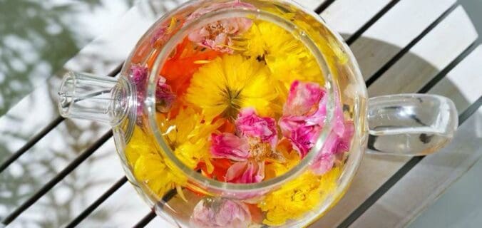 Infusions de fleurs et de fruits détox : bienfaits essentiels