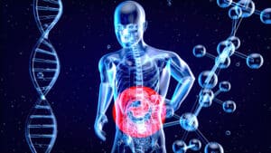 Microbiote intestinal : rôle, fonctionnement et conseils simples